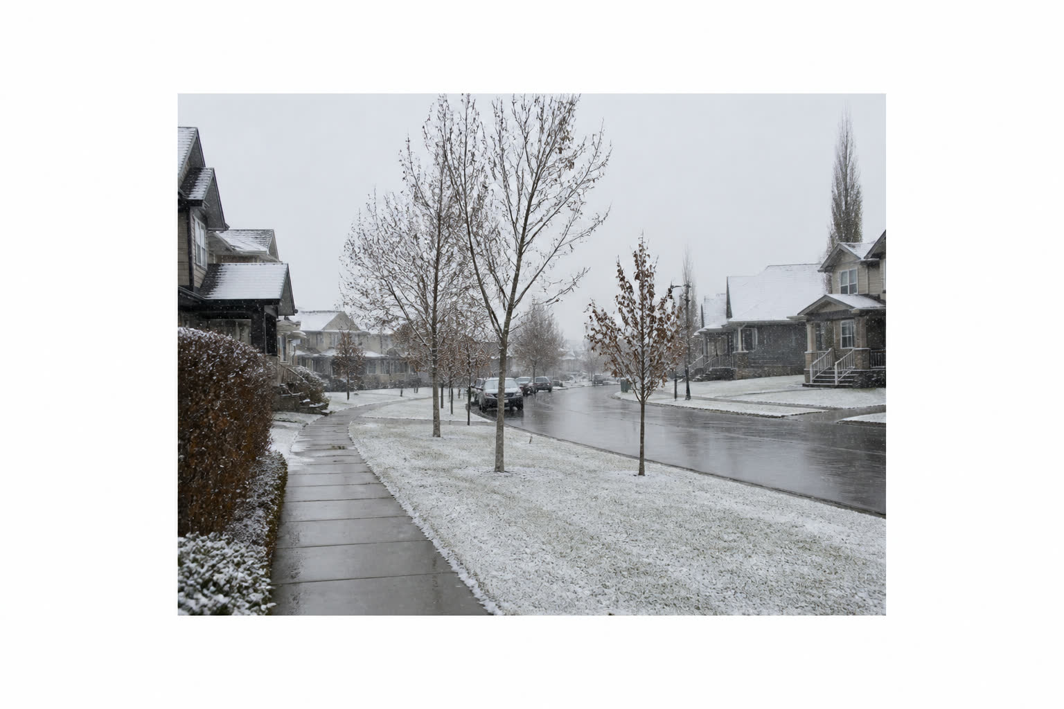 When Does It Start Snowing in Calgary?