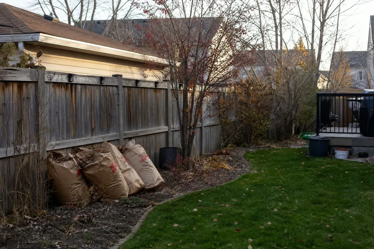 Yard Clean-up